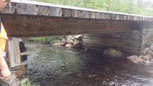 En bro i skogen